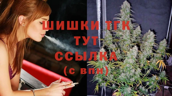 меф Ельня