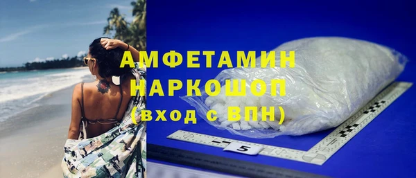 меф Ельня