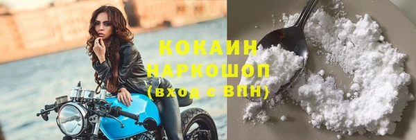 меф Ельня