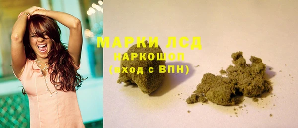 меф Ельня