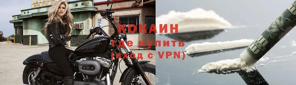 меф Ельня
