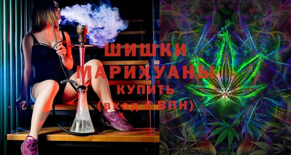 мет Елабуга