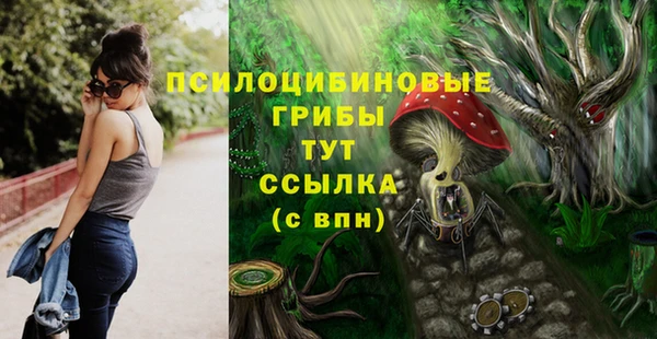 ECSTASY Елизово