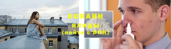 меф Ельня
