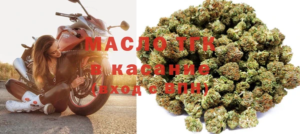 мет Елабуга