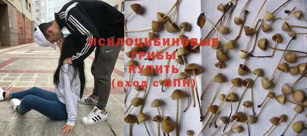 меф Ельня