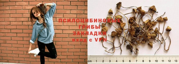 мет Елабуга