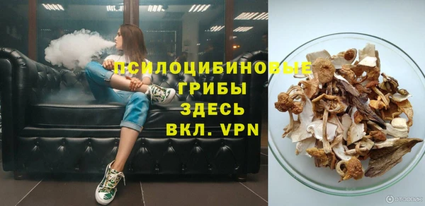 мет Елабуга