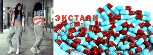 ECSTASY Елизово