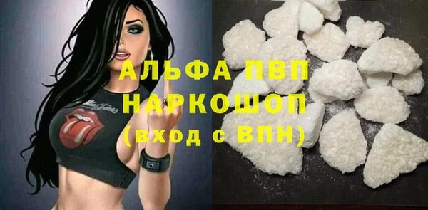 ECSTASY Елизово