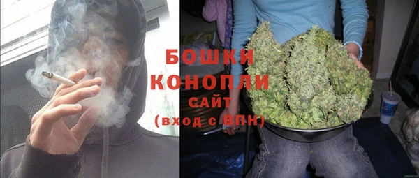 ECSTASY Елизово