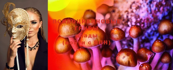 меф Ельня