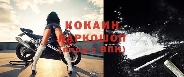 меф Ельня