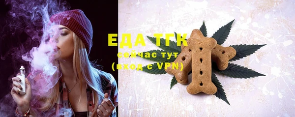 меф Ельня
