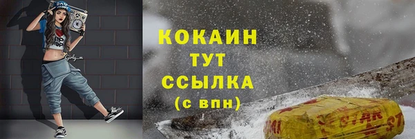 меф Ельня